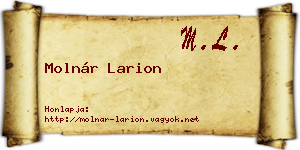 Molnár Larion névjegykártya
