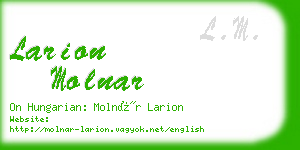 larion molnar business card